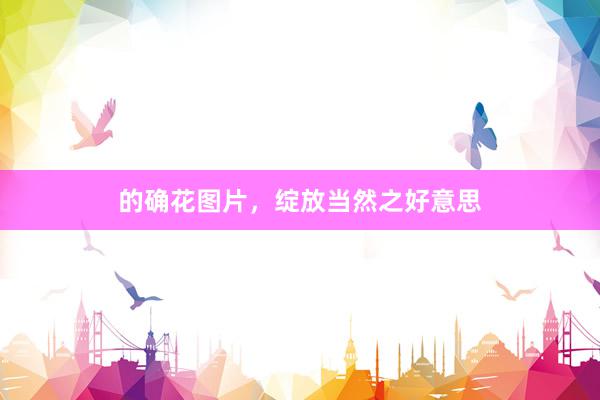的确花图片，绽放当然之好意思